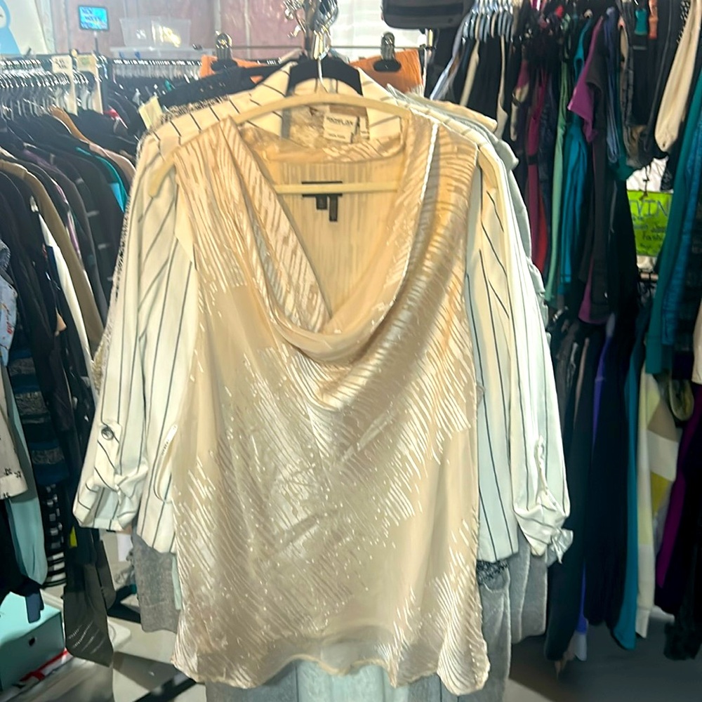 Donna Karan XL Elegant Cream Blouse